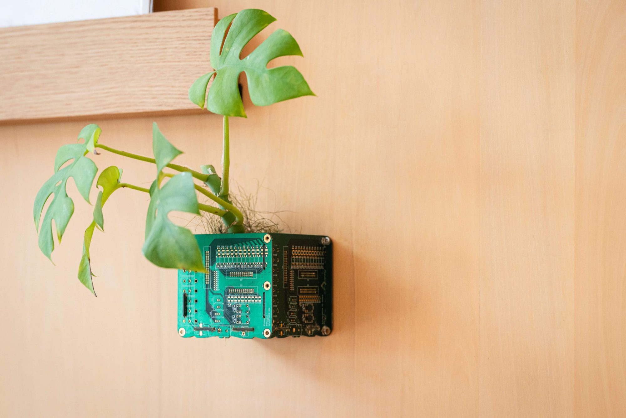 &banki - 植物ポット ｜ 株式会社ワイ・ケー電子