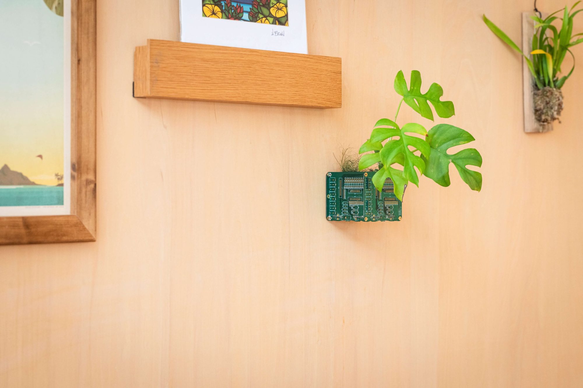 &banki - 植物ポット ｜ 株式会社ワイ・ケー電子